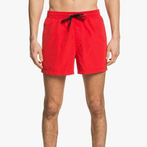 Quiksilver | Everyday Volley Swim Shorts | Size Large | NWT - Picture 1 of 7